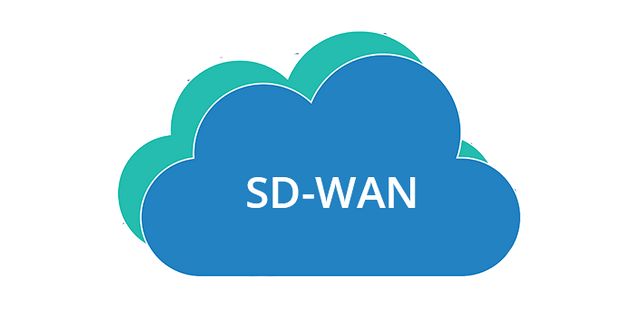 強大的SD-WAN有何特征？.png