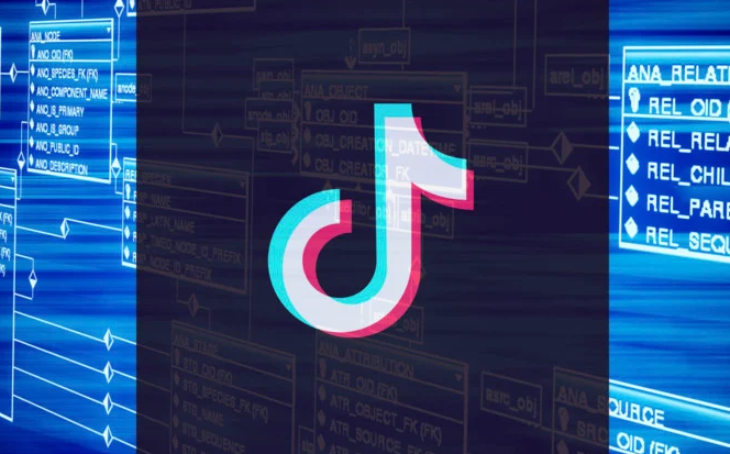 性?xún)r(jià)比高的印度尼西亞tiktok節(jié)點(diǎn)有何推薦？.png