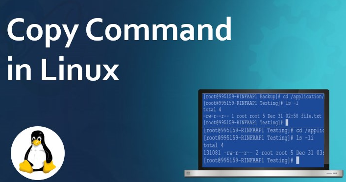 linux復(fù)制文件cp命令怎么使用？.png