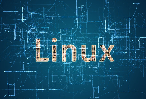 在Linux終端上如何實(shí)現(xiàn)文本流的動(dòng)態(tài)顯示？.png