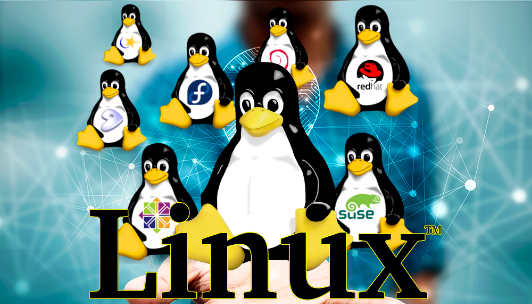 linux分區(qū)滿了怎么辦？.png
